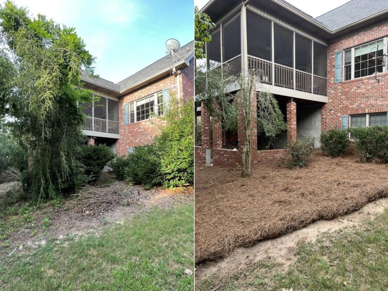 Yard Maintenance